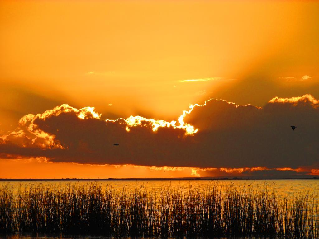 Готель Lake Albert Caravan Park Meningie Екстер'єр фото