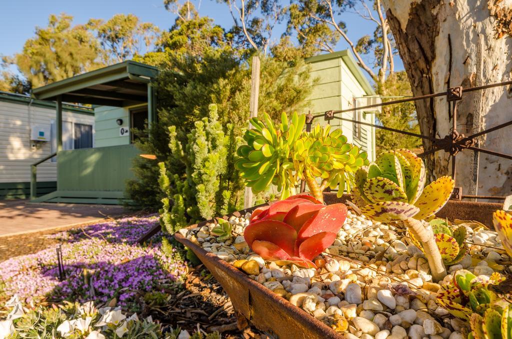 Готель Lake Albert Caravan Park Meningie Екстер'єр фото